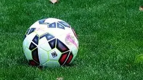 全球体坛十大魅力之星