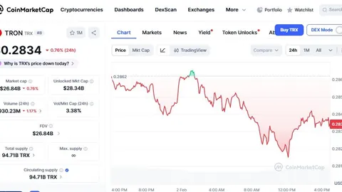 意大利与乌克兰战平，携手挺进欧洲杯决赛圈